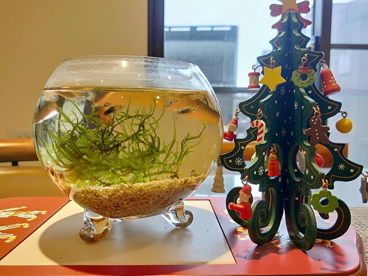Mysig Bed & Breakfast Luodong Bagian luar foto